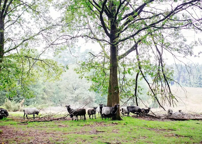 度假居 Waldhaus Emma *