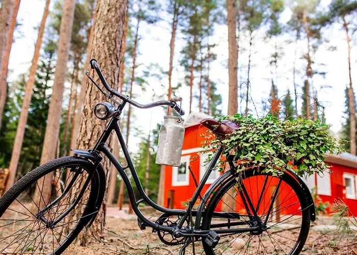 度假居 Waldhaus Emma *